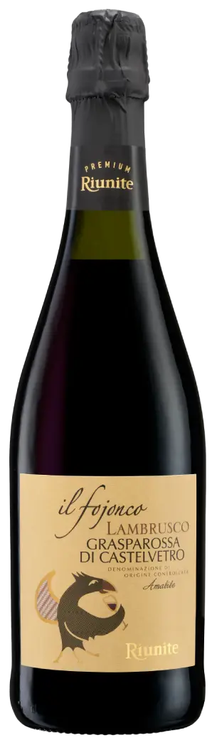 Lambrusco Grasparossa DOC: sweet italian